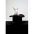 Exhibitions_gallery_file_1260267821