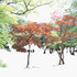 Changdeok-aeryenjeong-pav
