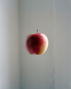04_apple