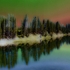 17_forested-magical-placewb