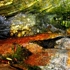 Urban_oasis_-_thy_dwelling_place__3