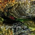 Urban_oasis_-_thy_dwelling_place__5