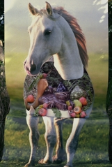 Horse with Cat and Persimmons,Elizabeth Bryant