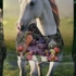 Horse_with_cat_and_persimmons