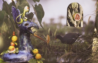 Moorhen with Dragon and Citrus,Elizabeth Bryant