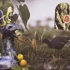 Moorhen_with_dragon_and_citrus