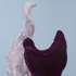 Barnyard_swan_2009_70x46