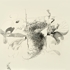 Flamenco-_brooklyn-november_-1