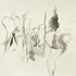 Flamenco-_brooklyn-november_-2