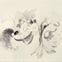Flamenco-_brooklyn-november_-3