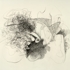Flamenco-_brooklyn-november_-5