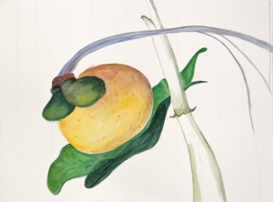Search_of_organic_w_boxing_gloves_2009_gouache_9x12