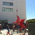 20110116072334-img_0635