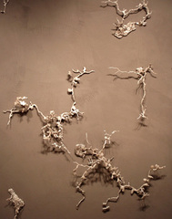 Untitled,Jim Toia