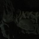 Emperor_fish_with_corals