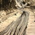 Carlson-la_river