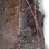 I-_long_image_1_x4_copy