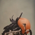 The_nest