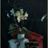 Orchid