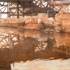 Coppery_waters_copy