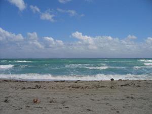 Solis_hollywood_beach