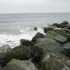 Solis_jersey_shore