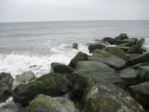 Solis_jersey_shore