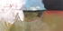 Joshuafield_nohome_2009_lg