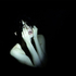 Theo_adams
