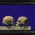 Orthographicskulls