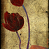 Tulipes_copie_3bd