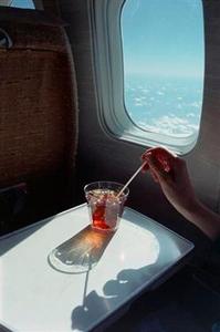 Eggplane