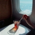 Eggplane