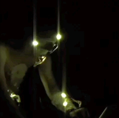 P1_s