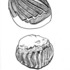 Pan_dulce_2006