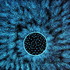 Img_4518-dark-adj-final