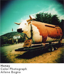 Honey,Arlene Bogna
