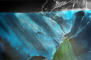 Sharks and Minnows (detail),Maximilian Toth