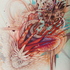 Disruptive_coloration