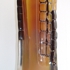 Vertebrallens-1
