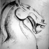 Horse_face