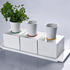 Kitchen_garden