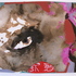 Transglobal_mutation_series__eye_in_the_sky_