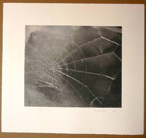 Artwork_images_424137663_547875_vija-celmins