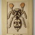 Wasp_view_one_by_matt136