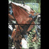 Rustedmetaldrape