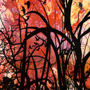 Violentlychanginglandscape_2000x2959