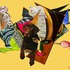 Lloyd_taffys_birthday_party