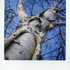___img022