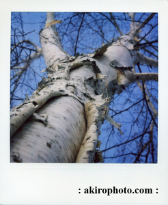 ___img022